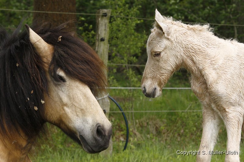 Hjoerdis 41 Min alt (3).JPG